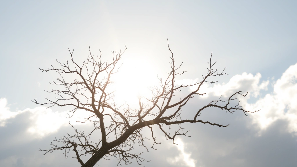 how to clean bathroom sink drain -
natural lighting
